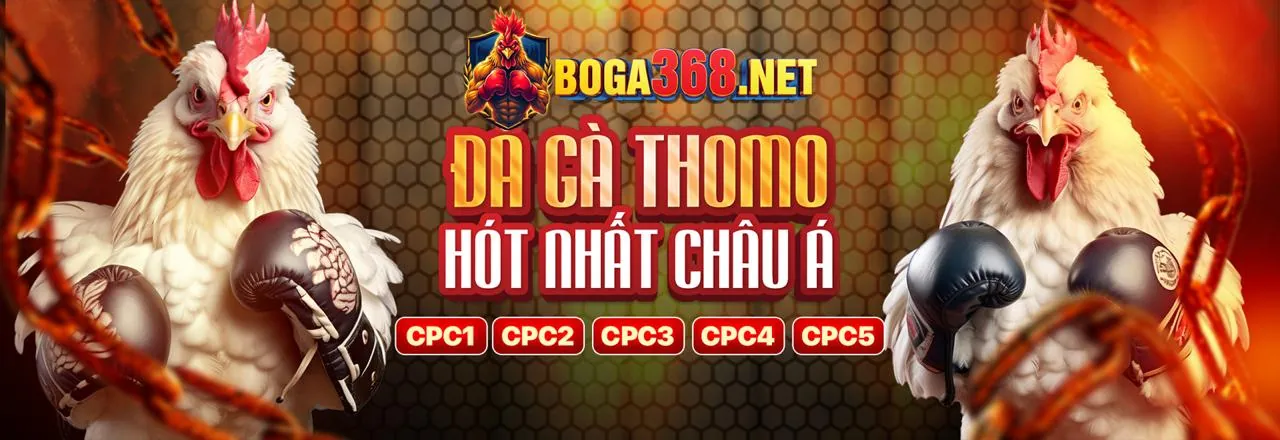 Sân đấu đá gà kịch tính tại visabet link vào