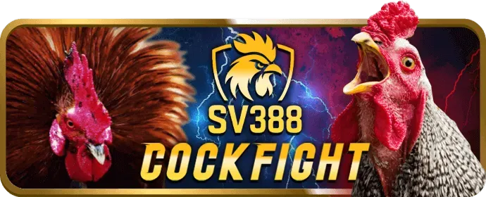 Cá cược thể thao visabet